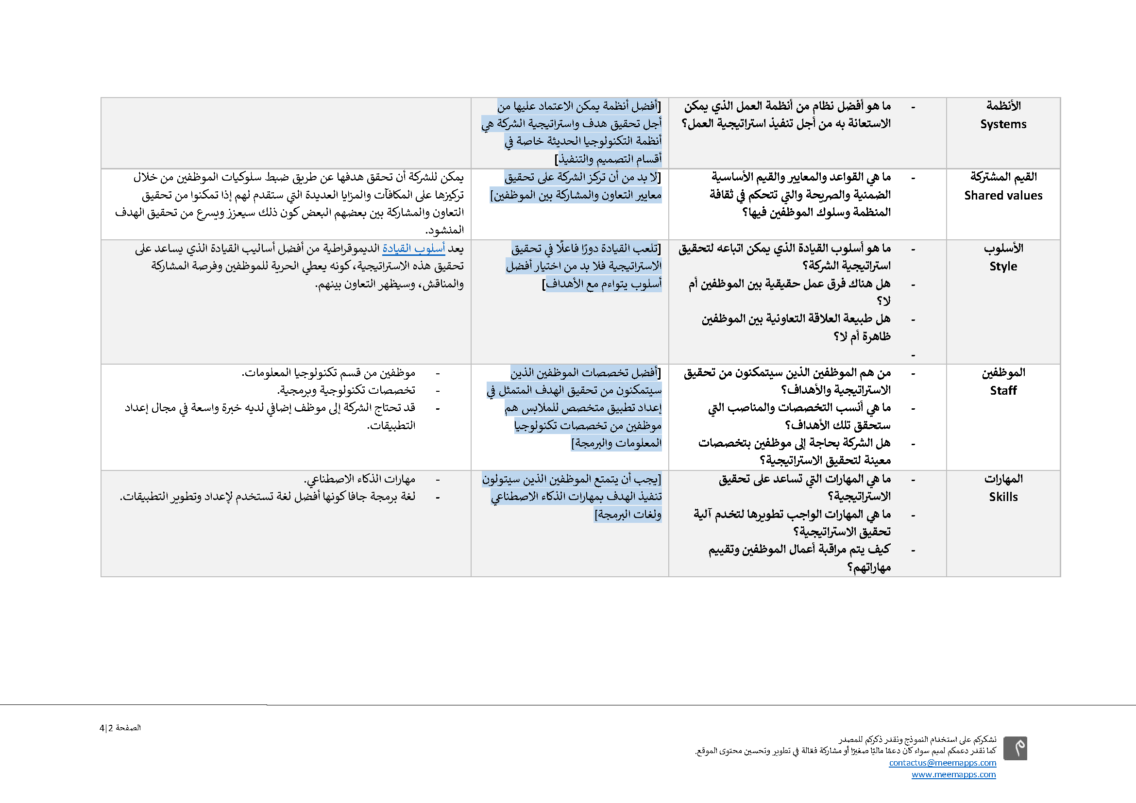 نموذج إطار ماكنزي ميم للأعمال